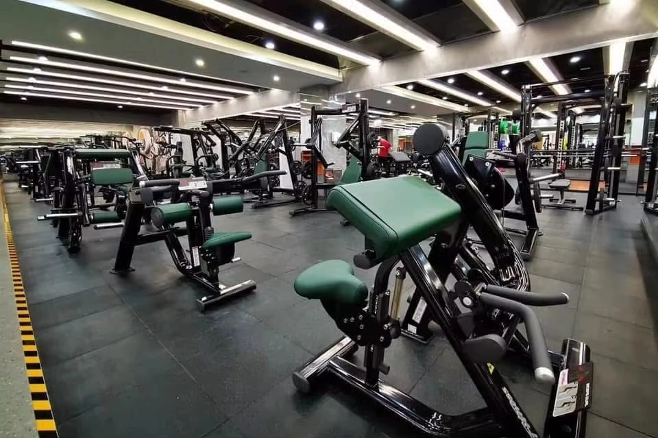 Equipamiento de gimnasio preparado para importación
