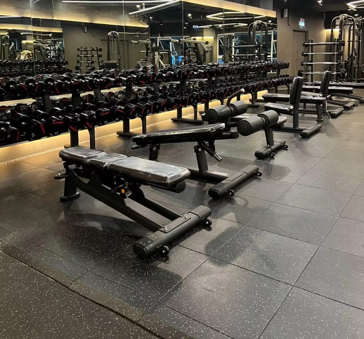 Máquinas de fuerza y musculación para gimnasio